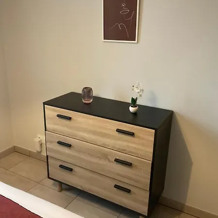 Appartement Les Demoiselles De La Tour ! *