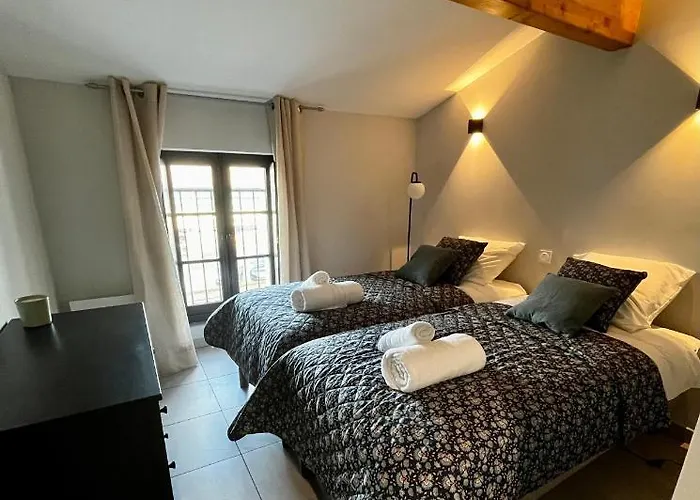 Les Demoiselles De La Tour ! Carcassonne