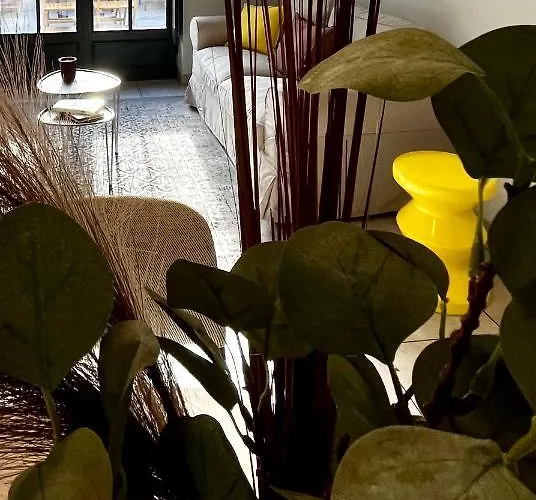 Les Demoiselles De La Tour !