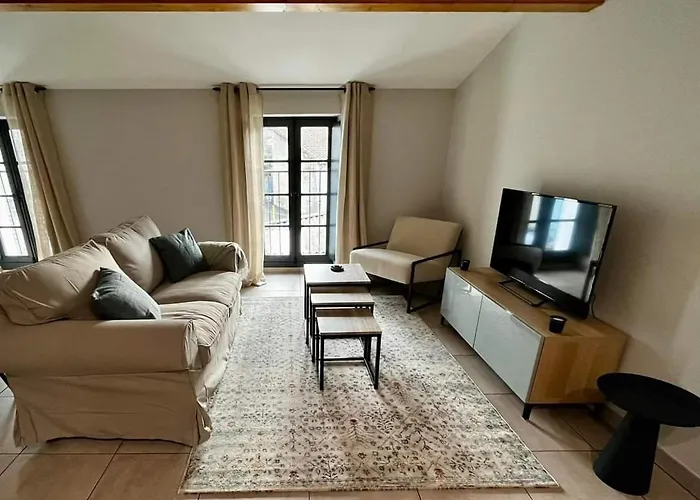 Les Demoiselles De La Tour ! * Carcassonne